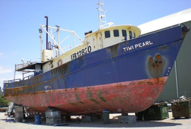 Artificial reefs – the way of the future?